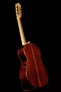 ویژگی گیتار ریموندو 104b